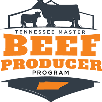 Master Beef-Producer Program 