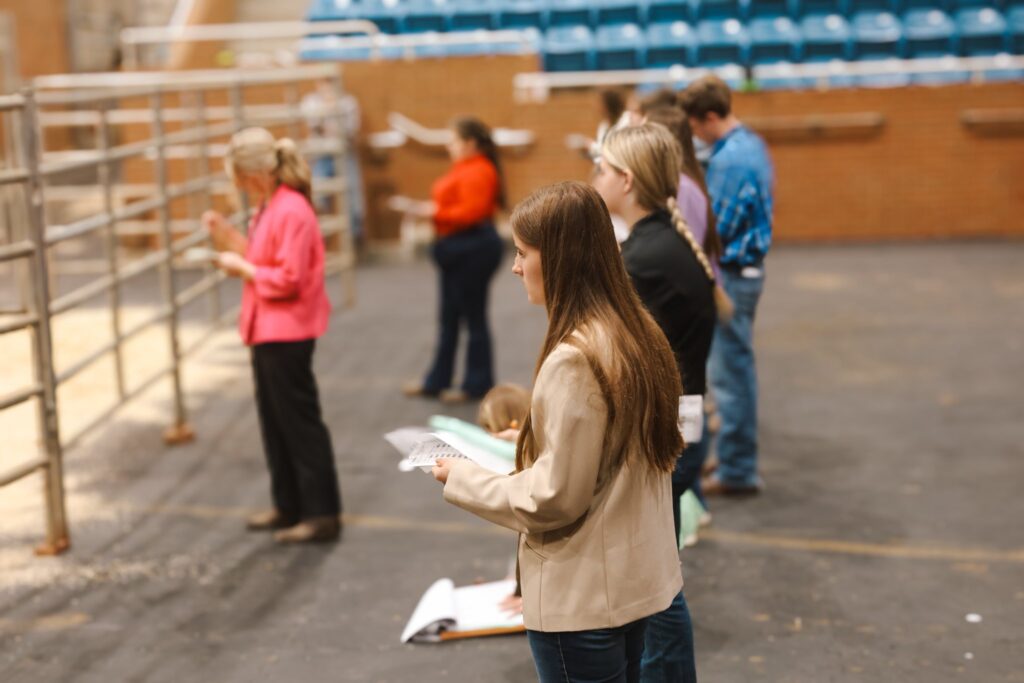 4-H'ers standing and judging livestock.