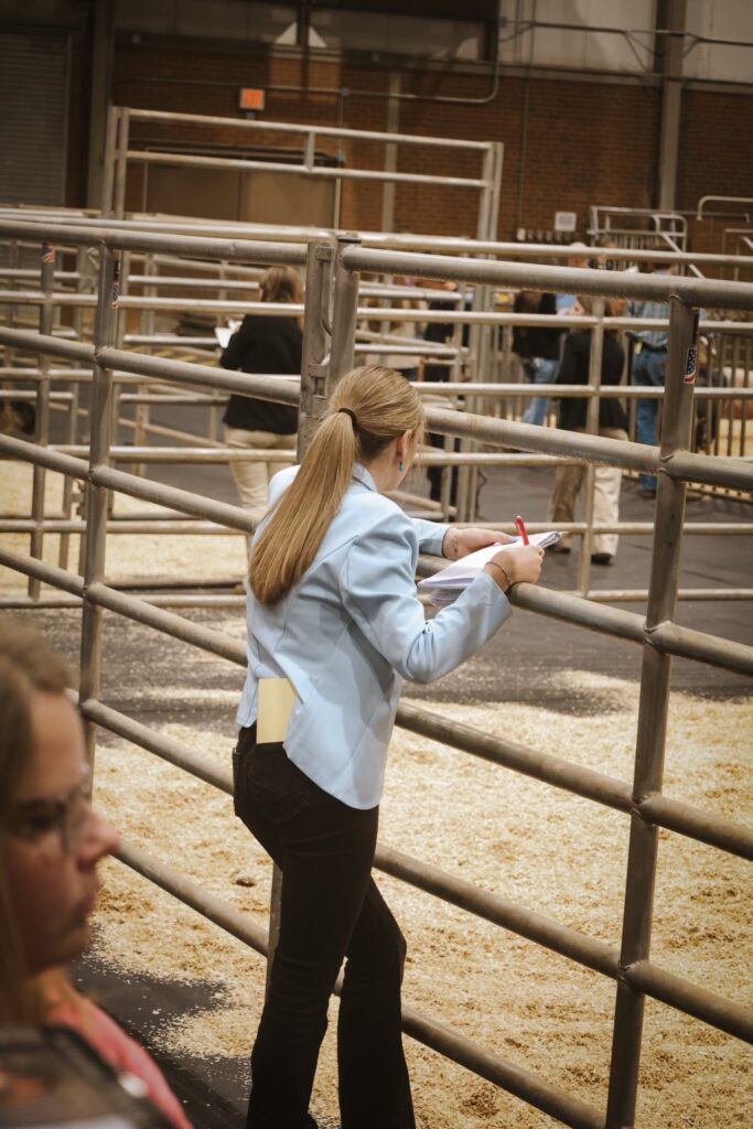 4-H'er standing and looking through livestock gate.
