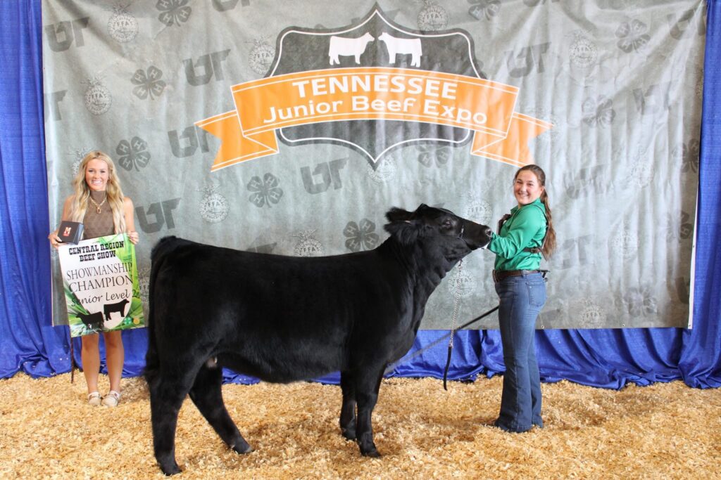 4-H'er standing with show cow.
