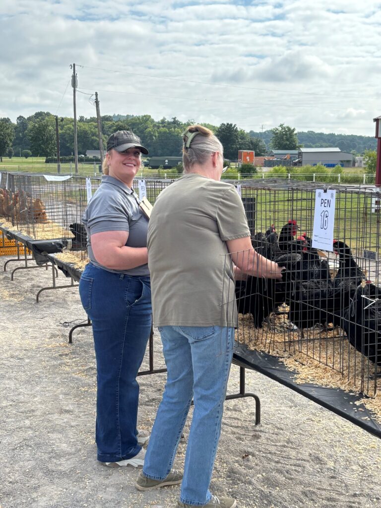 Two people standing in front of chicken cages and judging chickens.